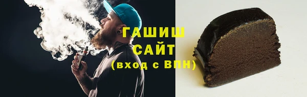 гашик Алексин