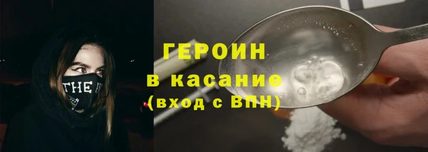 гашик Алексин