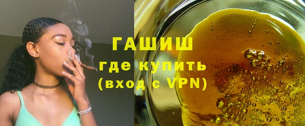 гашик Алексин