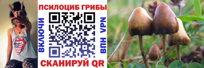 MEGA сайт  Билибино  Псилоцибиновые грибы GOLDEN TEACHER  купить  цена 